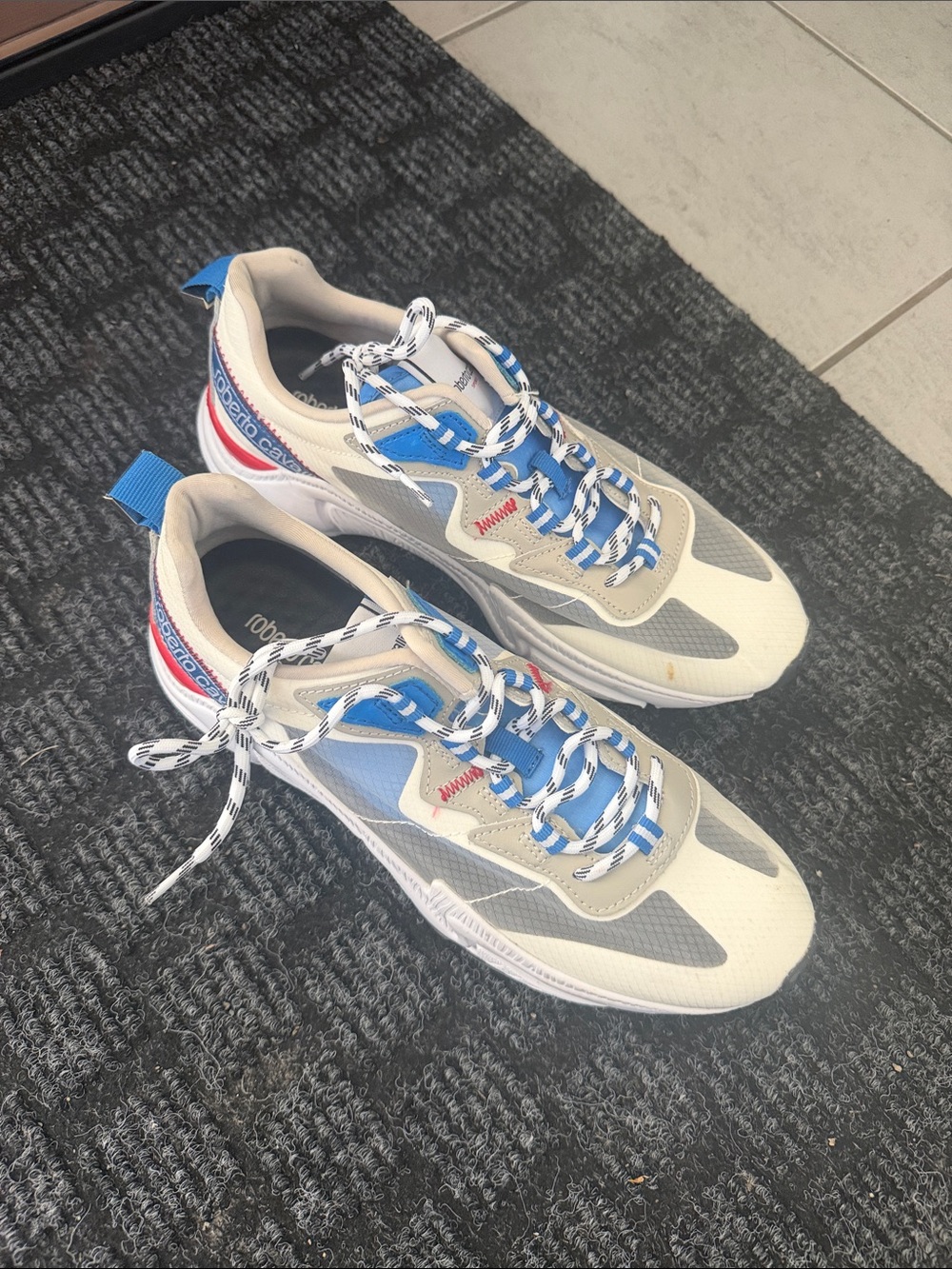 Roberto Cavalli Sneakers in White, Blue, Gray